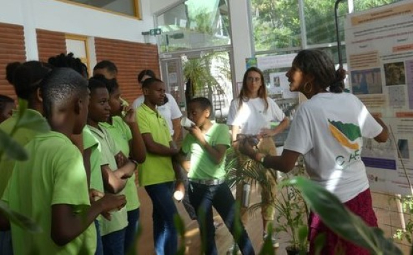 Stand Mycorhizes © Cirad Martinique